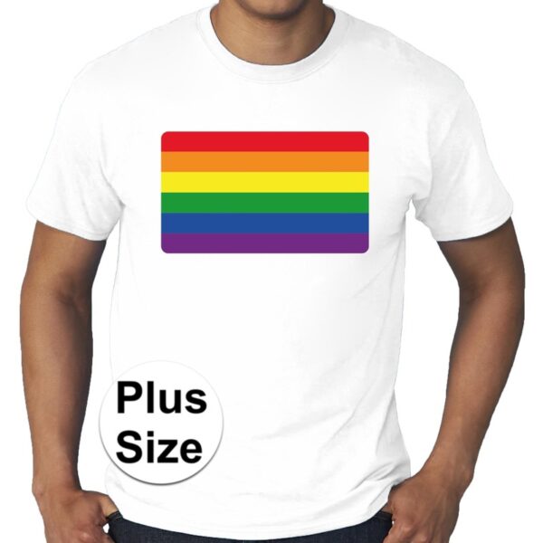 Grote maten regenboog vlag gay pride t-shirt wit heren