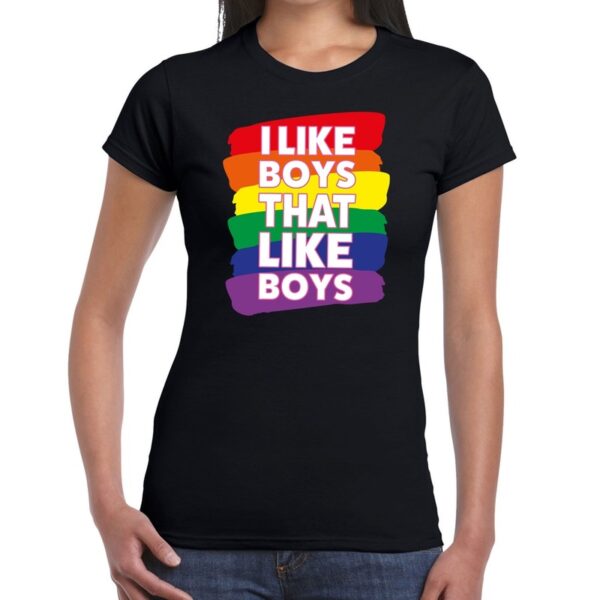 Gay pride I like boys that like boys t-shirt zwart voor dames